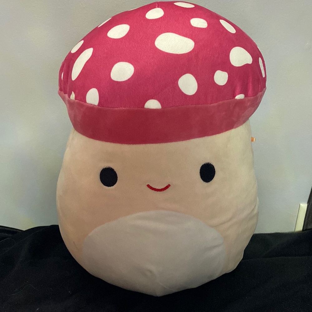“12 Malcolm Squishmallow